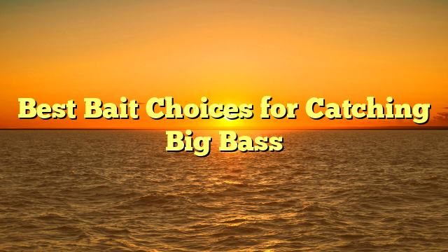 Best Bait Choices for Catching Big Bass