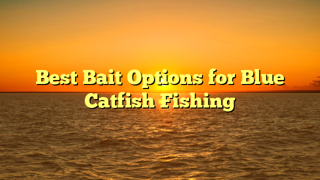 Best Bait Options for Blue Catfish Fishing