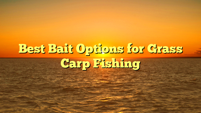 Best Bait Options for Grass Carp Fishing