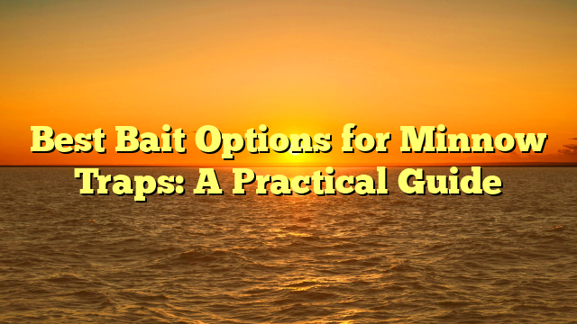 Best Bait Options for Minnow Traps: A Practical Guide