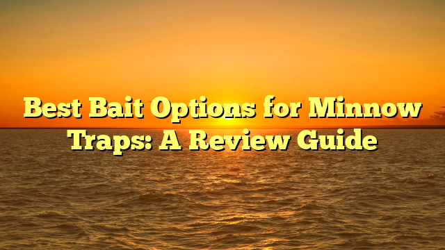 Best Bait Options for Minnow Traps: A Review Guide
