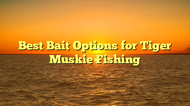 Best Bait Options for Tiger Muskie Fishing