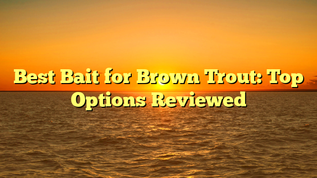 Best Bait for Brown Trout: Top Options Reviewed