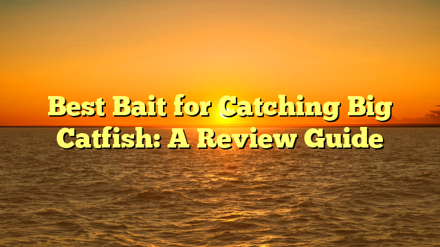 Best Bait for Catching Big Catfish: A Review Guide