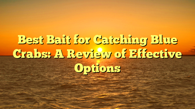 Best Bait for Catching Blue Crabs: A Review of Effective Options