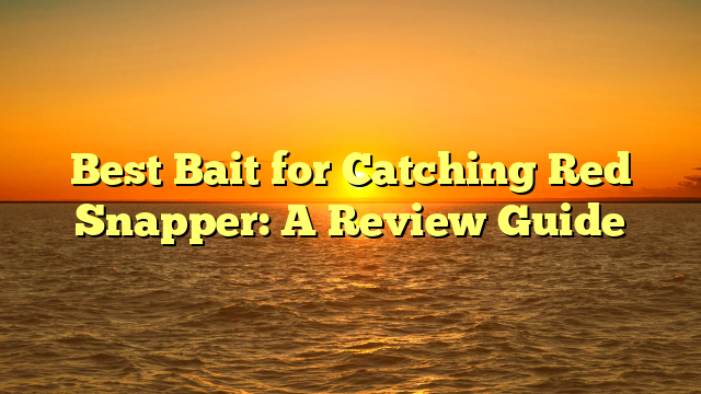 Best Bait for Catching Red Snapper: A Review Guide