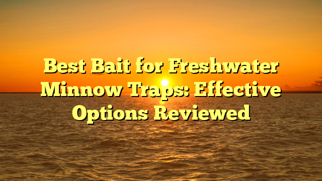 Best Bait for Freshwater Minnow Traps: Effective Options Reviewed
