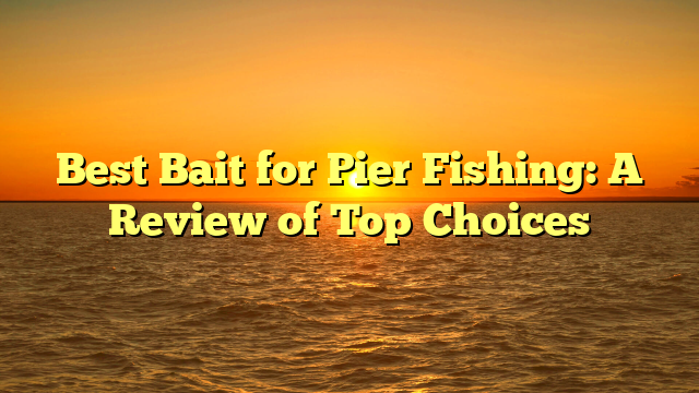 Best Bait for Pier Fishing: A Review of Top Choices