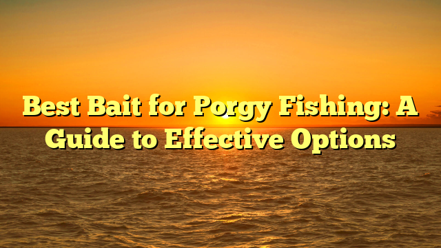 Best Bait for Porgy Fishing: A Guide to Effective Options
