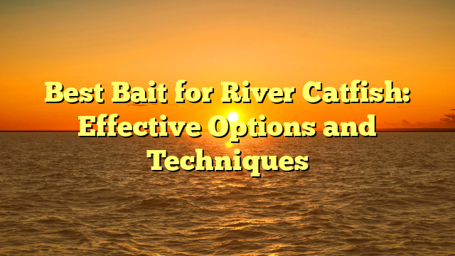 Best Bait for River Catfish: Effective Options and Techniques