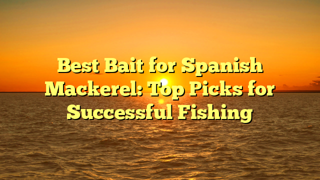 Best Bait for Spanish Mackerel: Top Picks for Successful Fishing