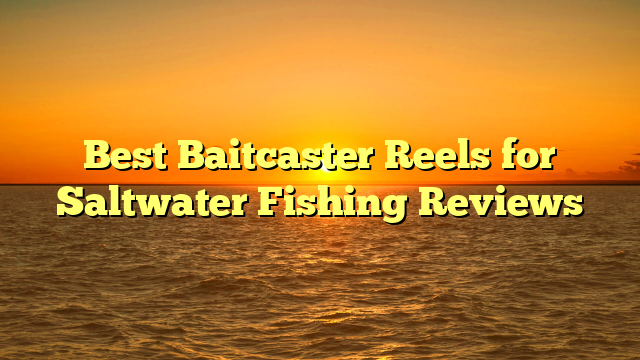 Best Baitcaster Reels for Saltwater Fishing Reviews