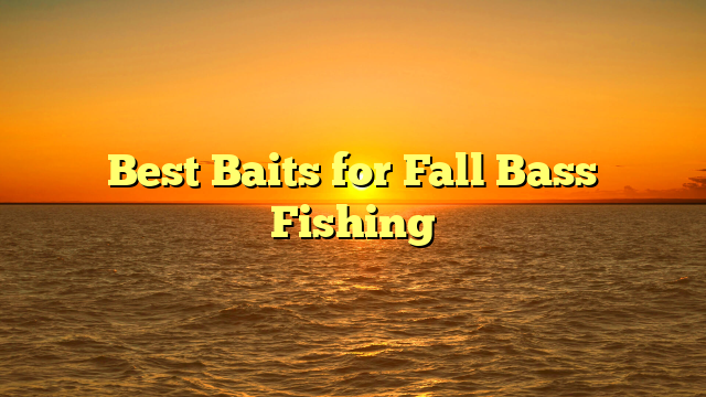 Best Baits for Fall Bass Fishing