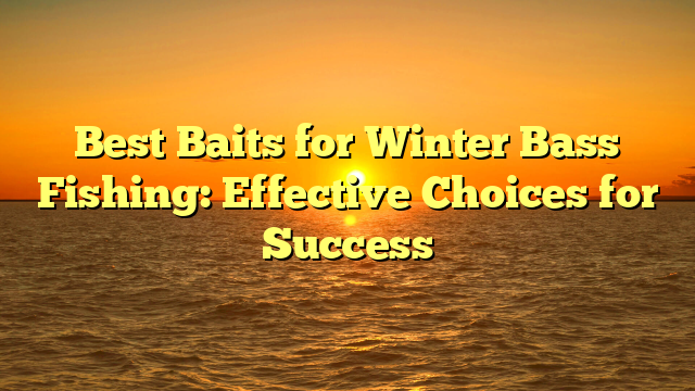 Best Baits for Winter Bass Fishing: Effective Choices for Success