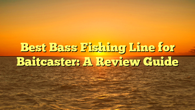 Best Bass Fishing Line for Baitcaster: A Review Guide