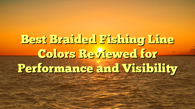 Best Braided Fishing Line Colors Reviewed for Performance and Visibility