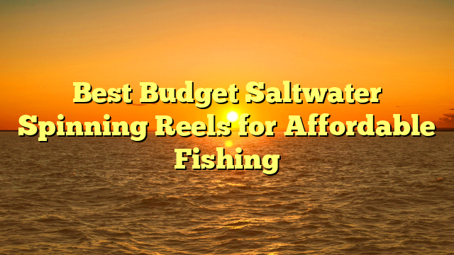 Best Budget Saltwater Spinning Reels for Affordable Fishing