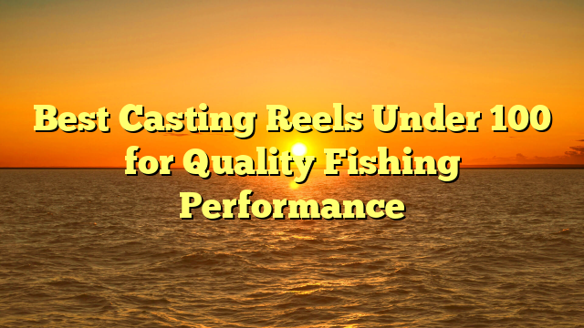 Best Casting Reels Under 100 for Quality Fishing Performance