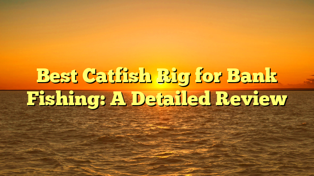 Best Catfish Rig for Bank Fishing: A Detailed Review