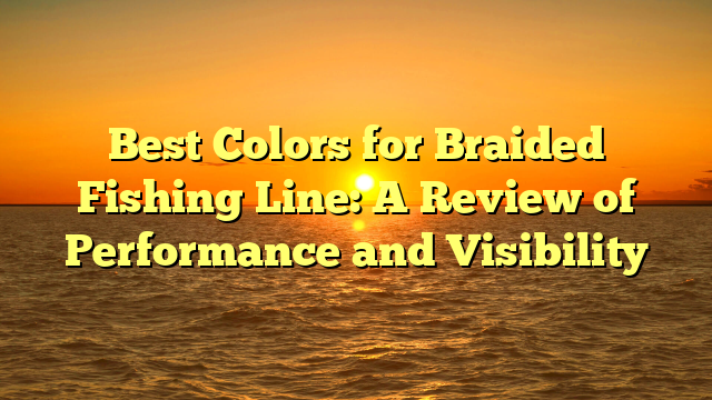 Best Colors for Braided Fishing Line: A Review of Performance and Visibility