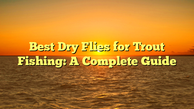 Best Dry Flies for Trout Fishing: A Complete Guide