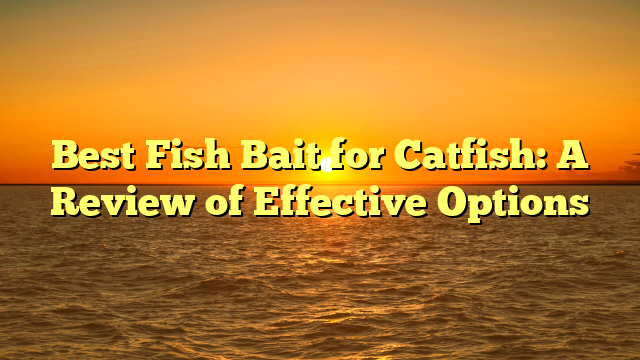 Best Fish Bait for Catfish: A Review of Effective Options