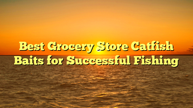 Best Grocery Store Catfish Baits for Successful Fishing