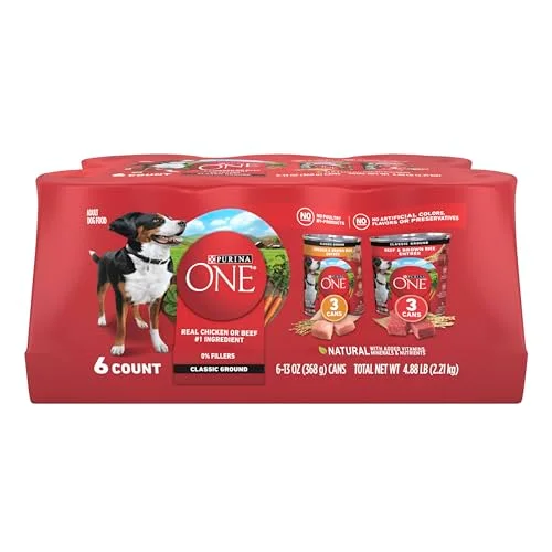 best affordable wet dog food