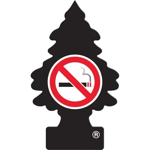 best air freshener for smoking in car