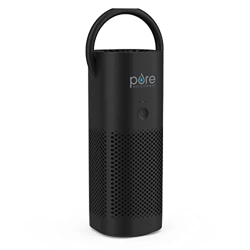 best air purifier for car