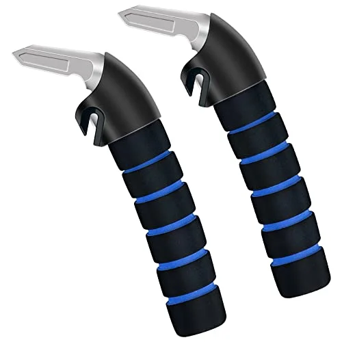 best car door assist handle
