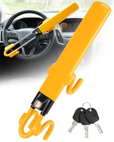 best car theft prevention devices