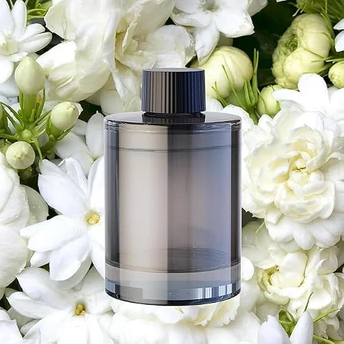 best ceeniu car perfume refill