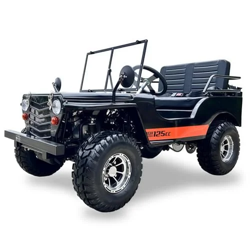 best electric 4 wheeler for adults