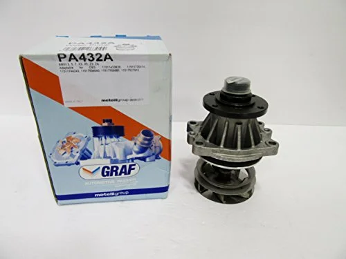 Best Graf water pump